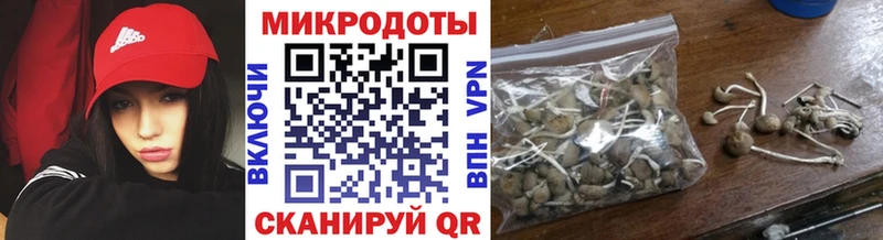 Псилоцибиновые грибы прущие грибы Купить где Эртиль